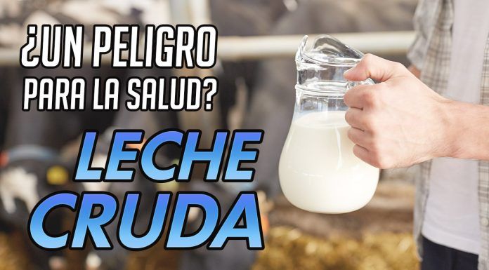 Leche cruda: ¿un peligro para la salud? | SefiFood