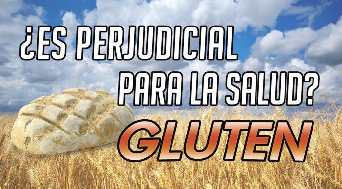 Gluten: ¿es perjudicial para la salud? | SefiFood