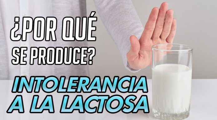 Intolerancia a la lactosa: ¿por qué se produce? | SefiFood