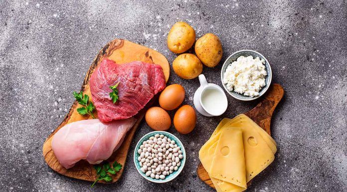 Alimentos ricos en aminoácidos: diferencias entre origen animal y vegetal