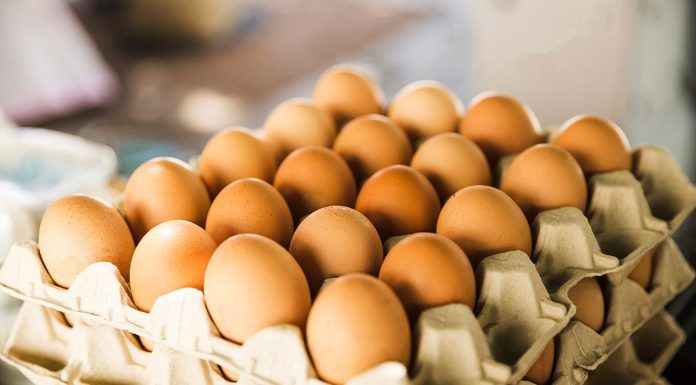 ¿Cómo debemos conservar los huevos en casa?