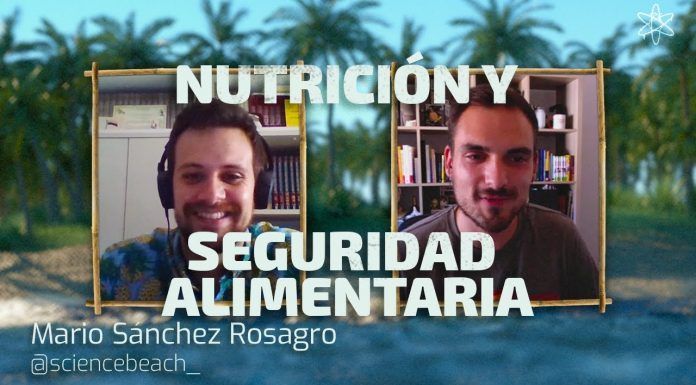 Charlando de nutrición y seguridad alimentaria con Science Beach