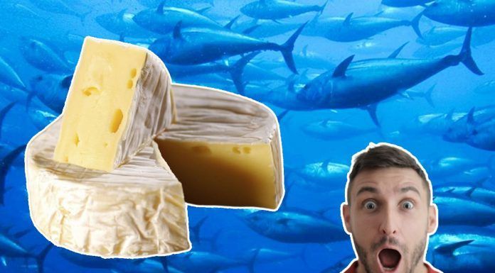 Del atún, hasta el semen: las sorprendentes propiedades de la leche que usa Ángel Léon – Colaboración Consumidor Global