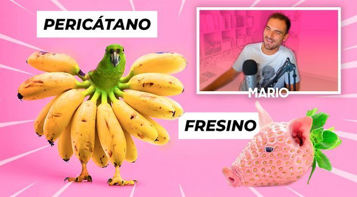 ¿Alimentos fusionados con animales? | El proyecto artístico que te peta la cabeza