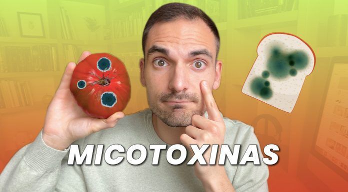 Micotoxinas: cómo evitar este tóxico del moho en nuestra comida