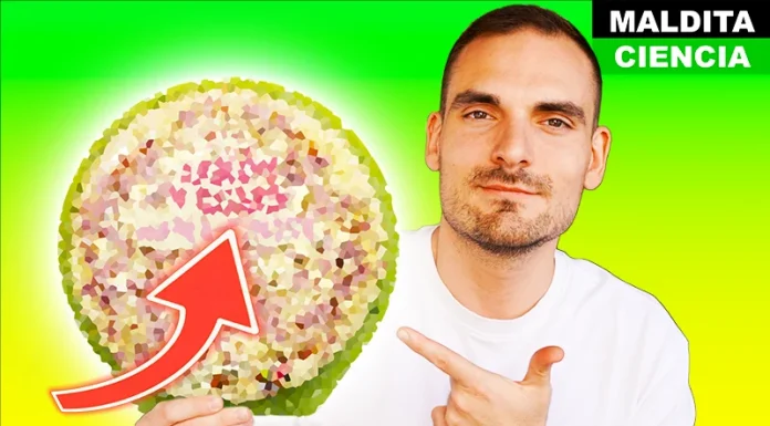 El plástico de las pizzas, cuánto tiempo duran arroz y pasta y cómo descongelar pollo