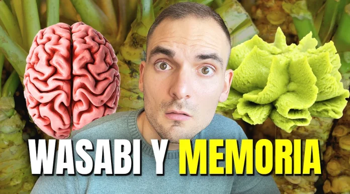 El wasabi mejora la memoria: esto dicen los estudios científicos