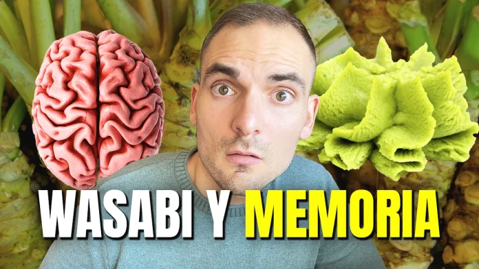 wasabi mejora memoria