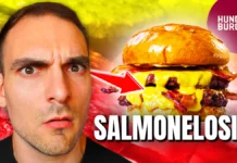 Salmonelosis en hamburguesas de Hundred Burgers: análisis por especialista en seguridad alimentaria
