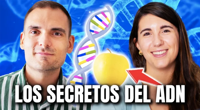 Así influye tu genética en tu nutrición y salud: charlando con Doctora en Nutrición Personalizada