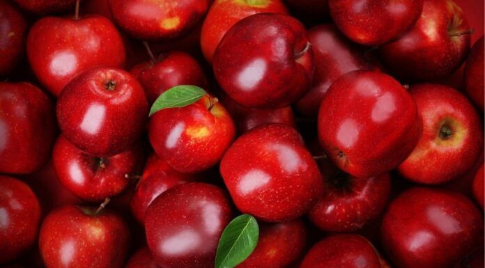 ¿Por qué algunas frutas saben mejor que otras? Ciencia y percepción detrás del sabor