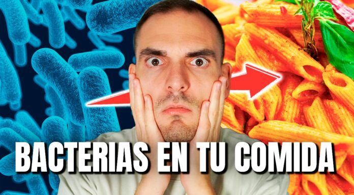 Tu comida está llena de bacterias por esto: así crecen los microbios en los alimentos