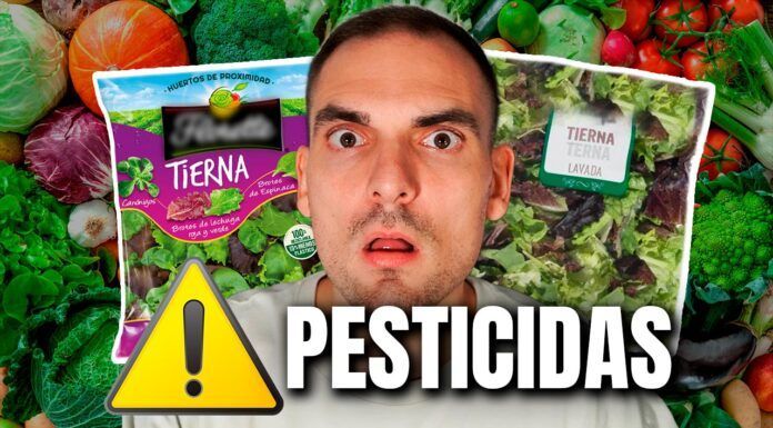 ¿Las ensaladas de bolsa tienen pesticidas? ¿Es peligroso comerlas?