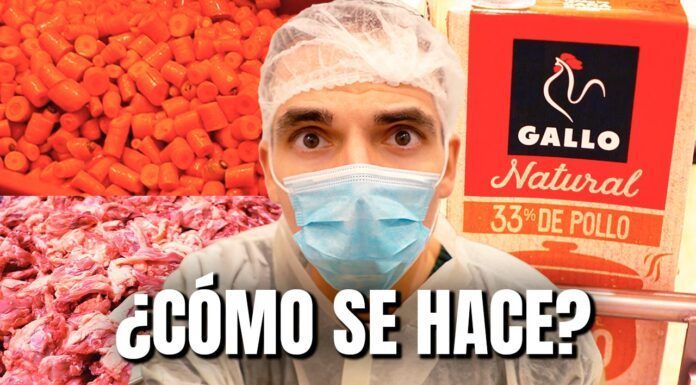 ¿Cómo se hace un caldo de pollo? Visitando la fábrica de Gallo