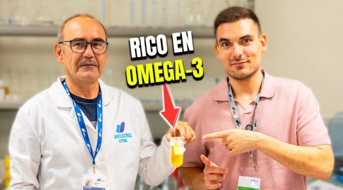 Así se extrae aceite en los subproductos del pescado: descubriendo el proyecto Valorish