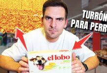 Probando turrón para perros y polvorones (sale mal)