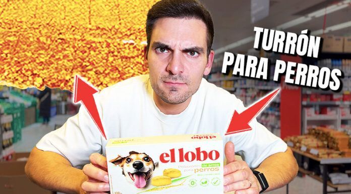 Probando turrón para perros y polvorones (sale mal)