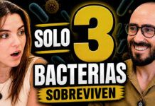 Así es la IA que Diseña los Alimentos del Futuro (eligiendo bacterias)