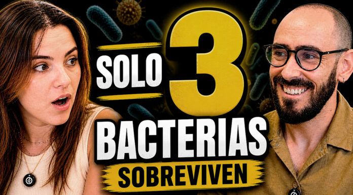 Así es la IA que Diseña los Alimentos del Futuro (eligiendo bacterias)