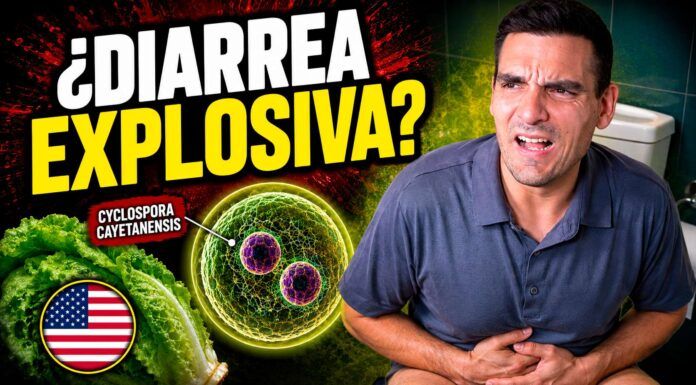 Cyclospora: todo lo que debes saber del brote de diarrea explosiva en E.E. U.U. por ciclosporiasis
